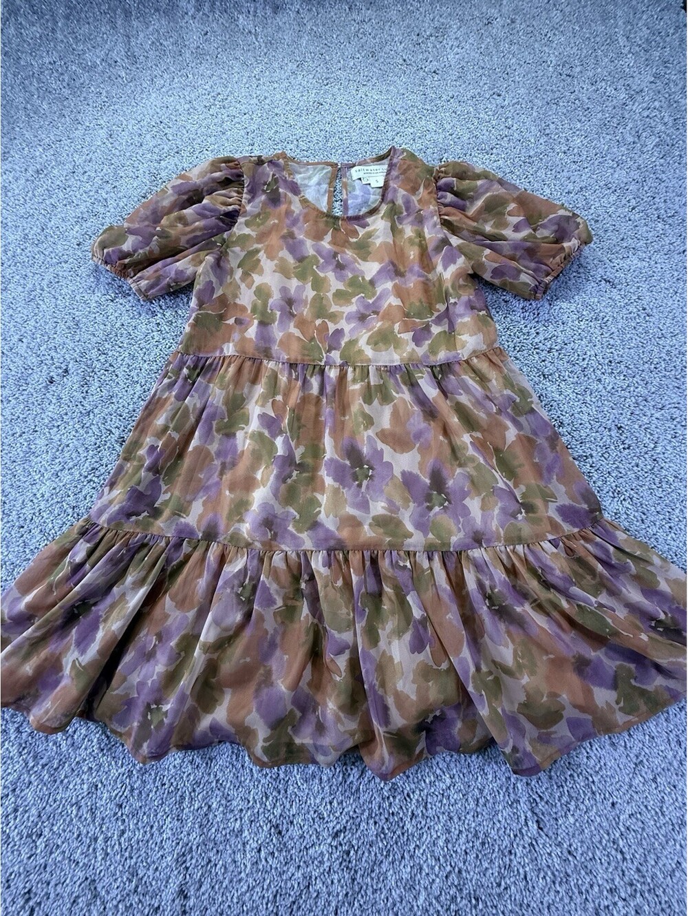 NWOT Saltwater Luxe Women’s Dress Size Small Purple Brown Floral Sheer Lined